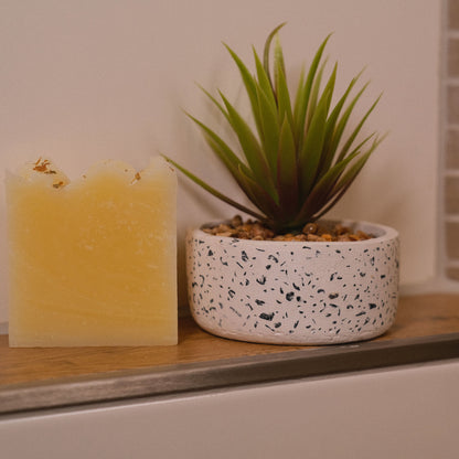 Naturseife Natura mit Pflanze als Dekoration