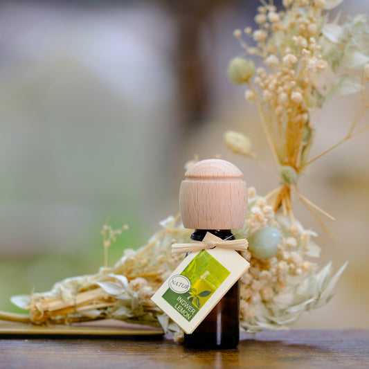 Raumduft - Duftöl 10 ml mit Duftträger aus Buchenholz, Duft Ingwer-Lemon